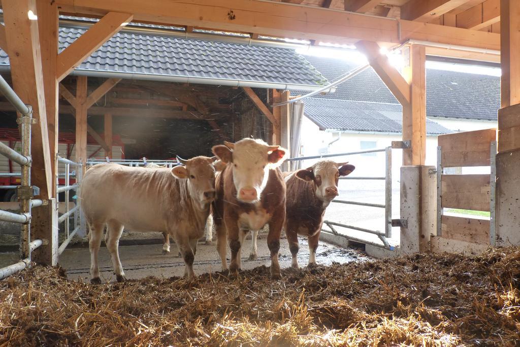 Landgut Wagnerfeld Apartment Altmuenster Luaran gambar